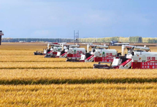 科技兴农 将饭碗牢牢端在自己手里